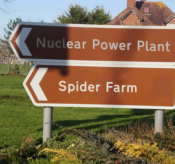 rickygervais's tweet photo. 1 This is asking for trouble 
2 Why the fuck are we farming spiders? https://t.co/cyqXYrP5jY