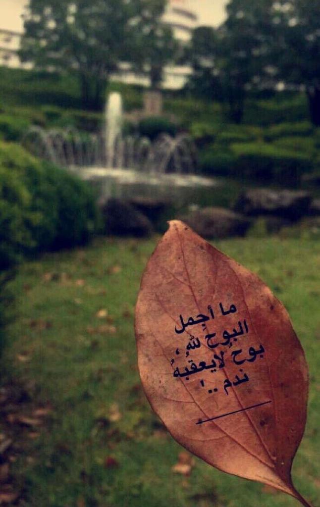 mimo84893's tweet image. #خالد_ذوق_للدعم
#قلب_واحد_للدعم