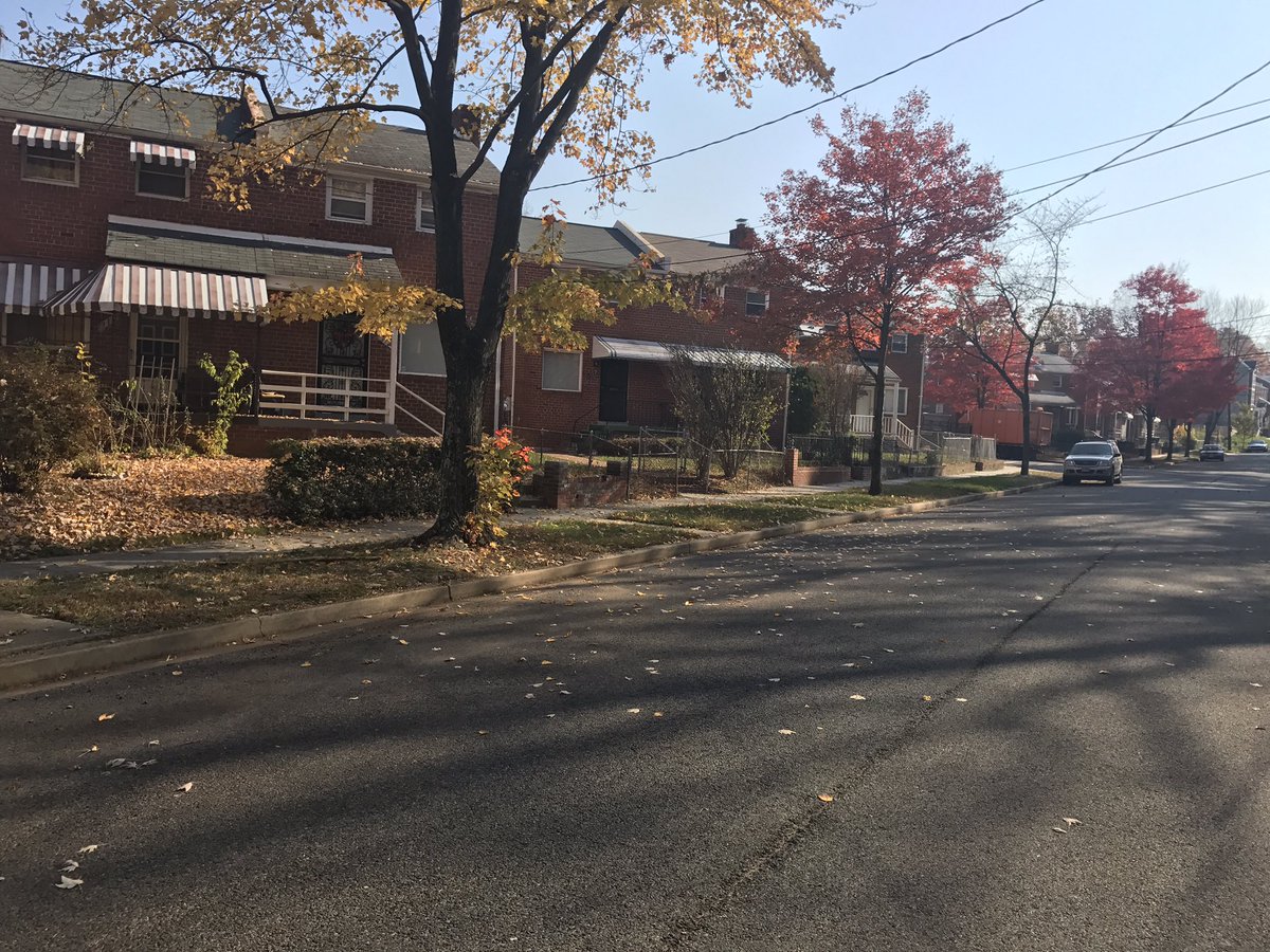 CamWash59's tweet photo. 300 Burbank St SE Leaf Time 🍃🍂Ward 7️⃣Crew https://t.co/kHMAl1bwRy