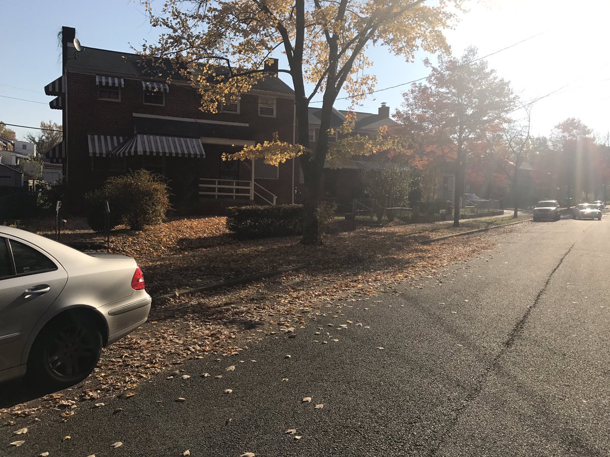 CamWash59's tweet photo. 300 Burbank St SE Leaf Time 🍃🍂Ward 7️⃣Crew https://t.co/kHMAl1bwRy