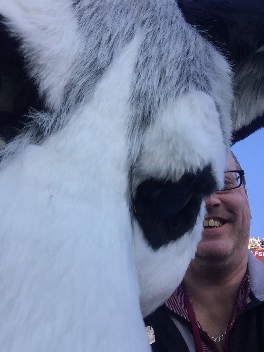 AnthonyPepe's tweet photo. UConn Husky was hogging the camera! #CONNvsBC https://t.co/3RQX1aVd26