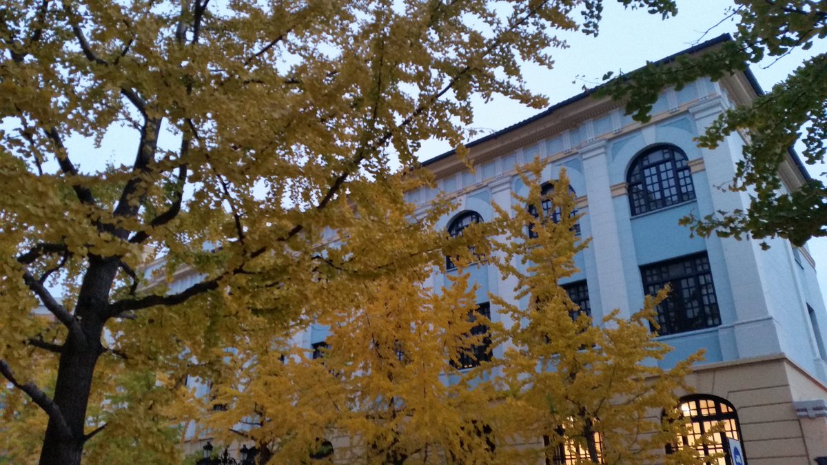 Analotrenco's tweet photo. Colores otoñales en #Zaragoza #ginkgo #refejo @SoydeZaragoza https://t.co/ix4MgrDhmv