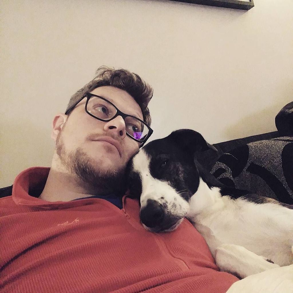 andycowley_'s tweet photo. Duvet day #MarloweTheMagnificent #dog #dogsofinstagram #cute #instapet #weeklyfluff #igpetโฆ https://t.co/03Uq0gjgmP https://t.co/fnj5fZdIL5