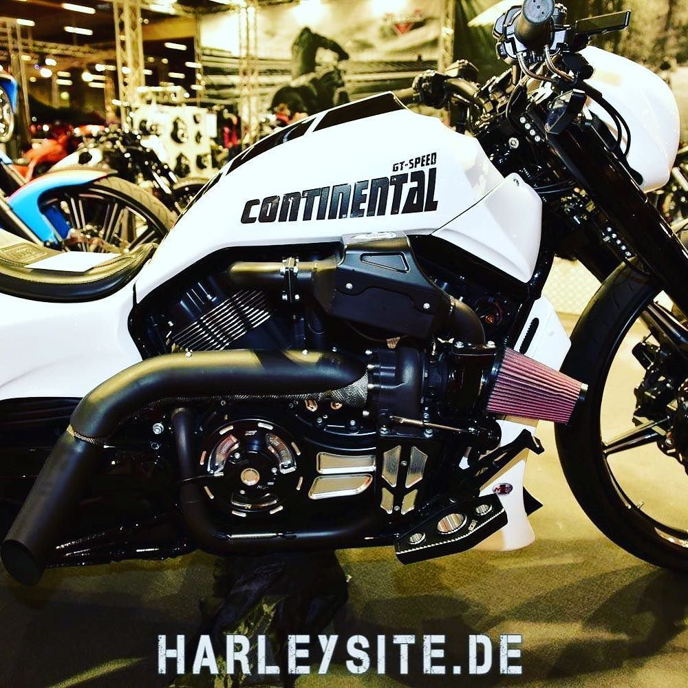 harleysite's tweet photo. NLC V-Rod no limit customs #nlc #harley #harleysite #vrod #nolimitcustoms #fatass #customb… https://t.co/ojUtqMMJXL https://t.co/5k79u6O5Iq