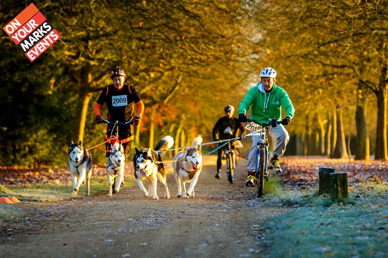 Great morning at <a href="/OYMELTD/">On Your Marks Events</a> Stowe Pacesetter - Photos available now.. davidhawtin.co.uk/stowe-pace-set…