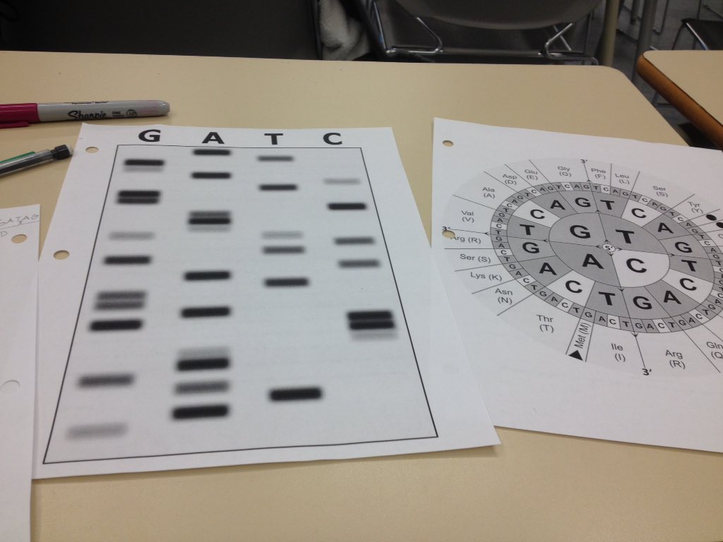 Some of our members are at <a href="/ScienceExpo/">Science Expo</a> #Ignite2016, where we just did a workshop on DNA Sequencing!