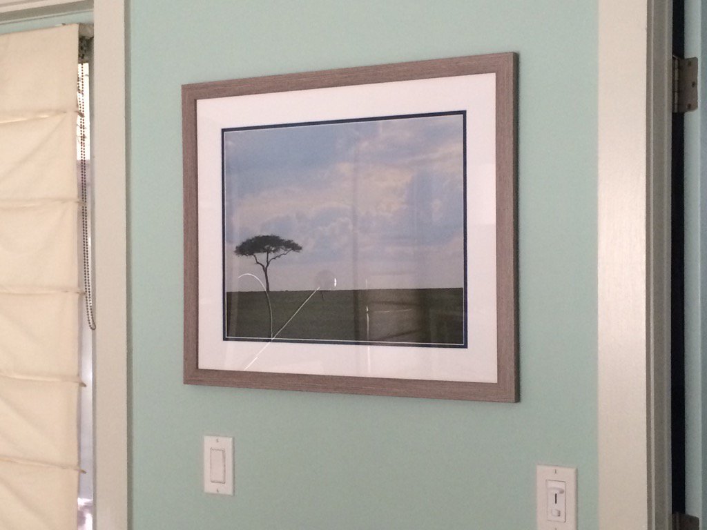 CAppleton16's tweet photo. Thank you @FrameItEasy for making this gorgeous frame for my safari picture! https://t.co/ynP6IRBv0o