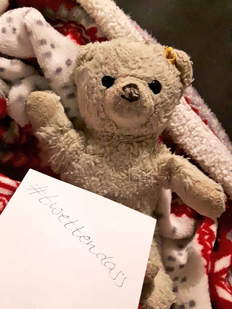 SinaRules1's tweet photo. #twettendass mein Kuscheltier "Tedde" heißt? https://t.co/wiIiepXMAn