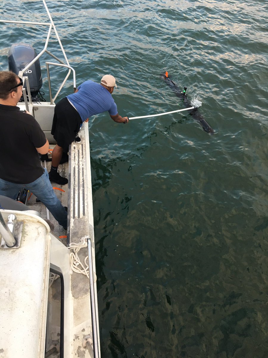 Orca Maritime tweet media