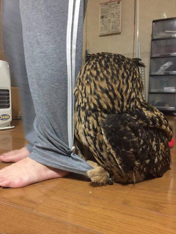 drunktwi's tweet photo. Это я пришёл на вечеринку, где знаю только одного человека https://t.co/gsfHE7BJJS