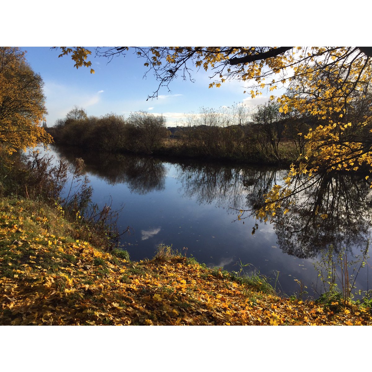 mtfeedback's tweet photo. Beautiful riverside scenes today. @mtfeedback is the simplest way to add a white border to your photos. Square and share! https://t.co/kaEOjsuToy