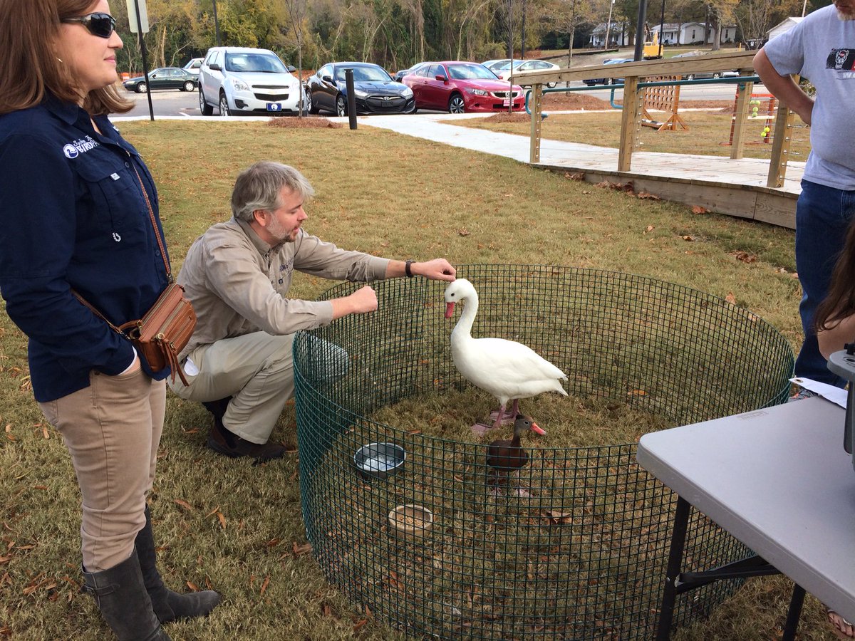 SweetTatersBrew's tweet photo. Birds are here from @sylvanheights come check them out! Rob Alford live at 5:30 pm #livemusic https://t.co/zf6vVGpNRC