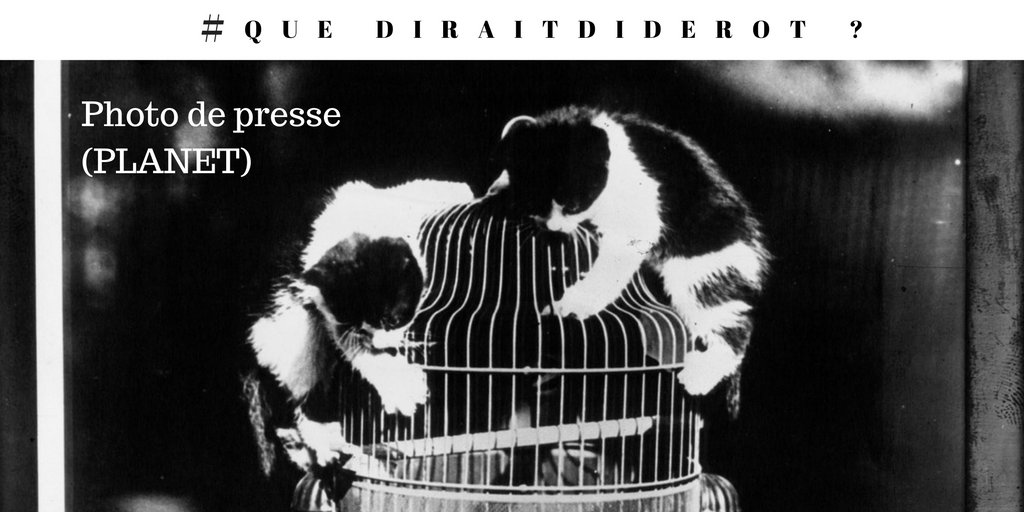 Diderobot's tweet photo. En direct du #HackathonBnF : Ne cherchez plus de #lolcats, @GallicaBnF vous en propose avec le @Diderobot ! #QueDiraitDiderot @laBnF https://t.co/5v7dkeJ5A4