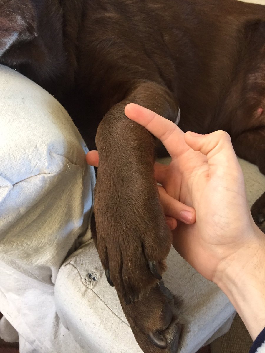dalton798's tweet photo. just a little something to take the edge off https://t.co/hZm0dI6X2e