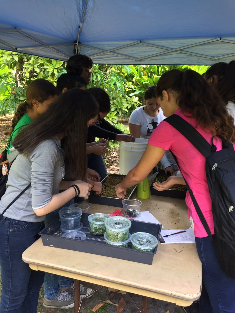 Ana Casanova tweet media