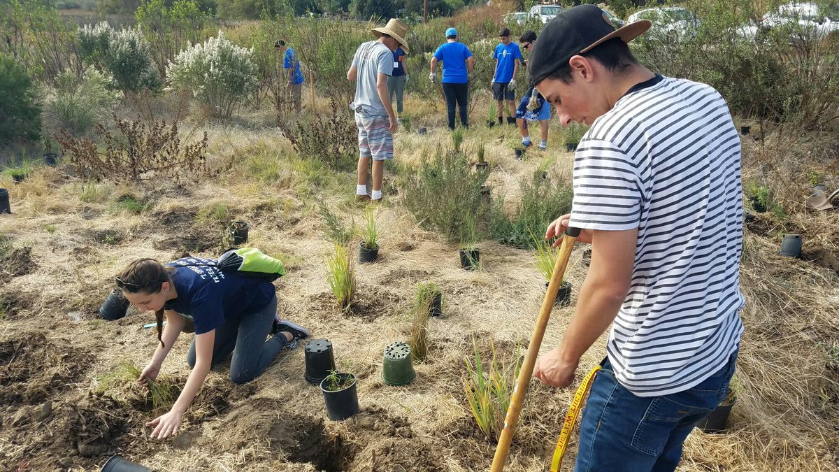 rbvtrees's tweet image. Mission accomplished! Environmental club helped the San Elijo Conservatory replant native species!🌳🌿