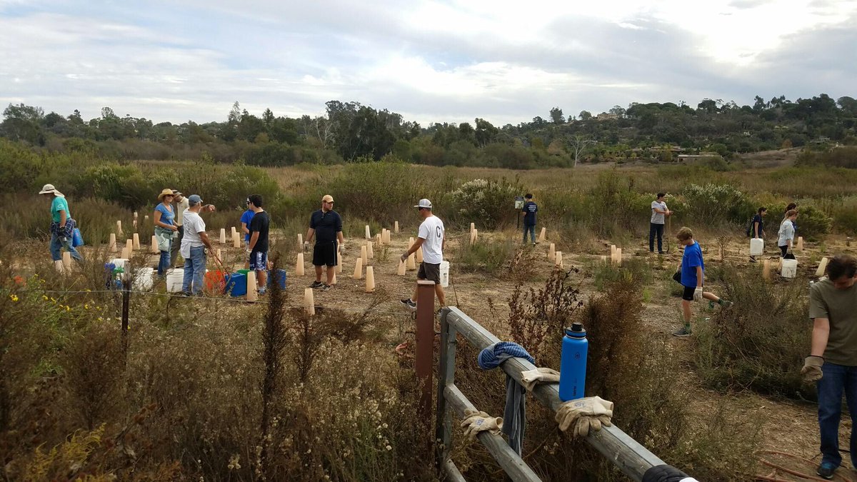 rbvtrees's tweet image. Mission accomplished! Environmental club helped the San Elijo Conservatory replant native species!🌳🌿