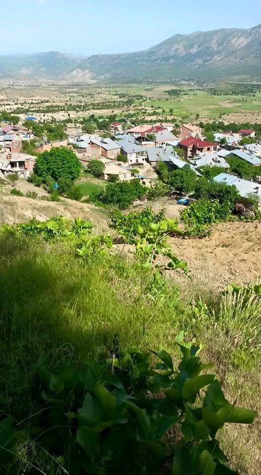 Ez bıbo theyr no koyan de bıgêro
Vacê mı ra: Ez bêwelat no dinya se bıkêro

Mehyun
Miyarun Xarpêt