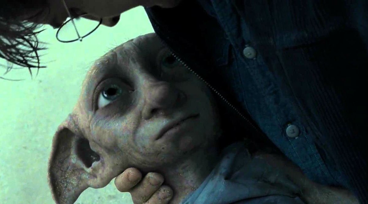 “Qué lugar más bonito para estar con amigos. Dobby es feliz por estar con su amigo... Harry Potter.”