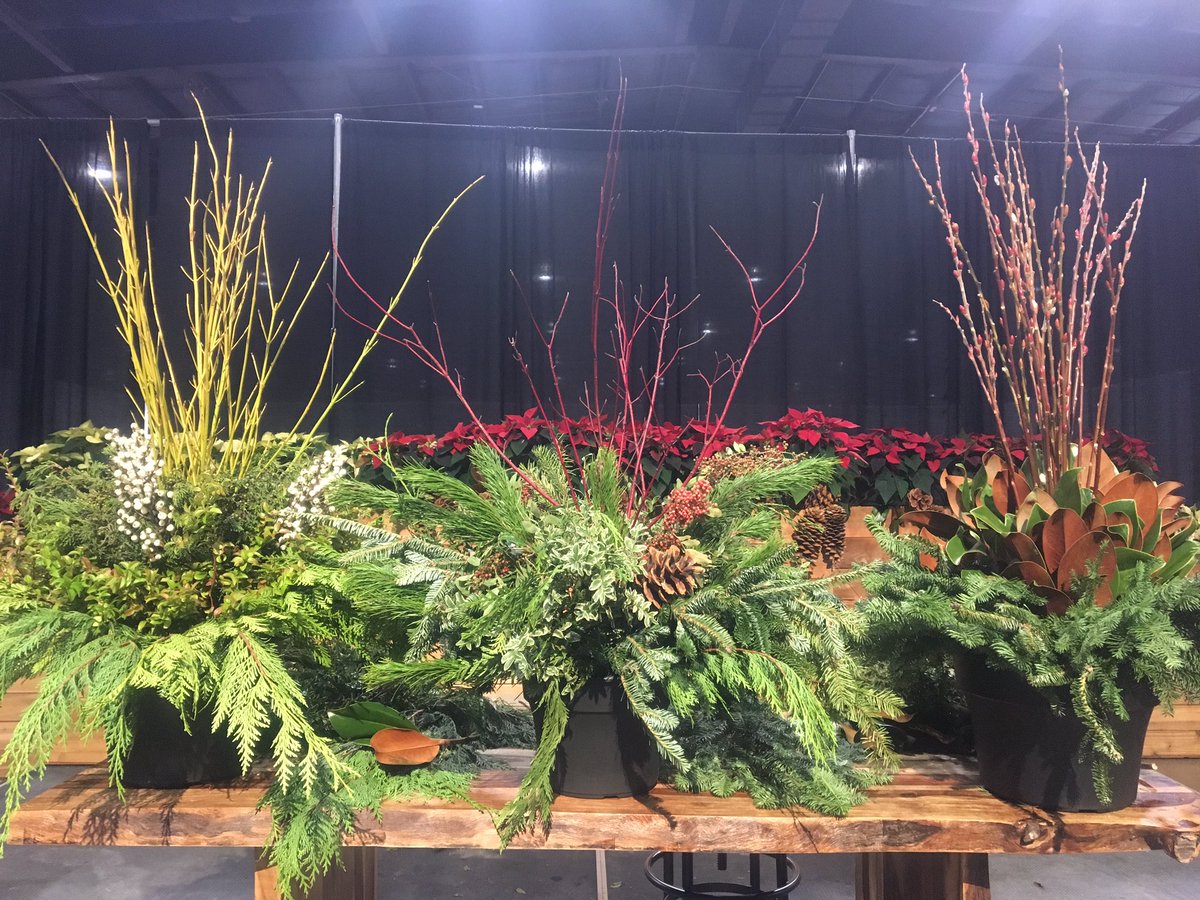 theowenreeves's tweet photo. Et voila!! Planters for every taste @seasonsshow check out @peterpaulsflwrs in the makeful market if you're a fan! https://t.co/oYPwVZRLir