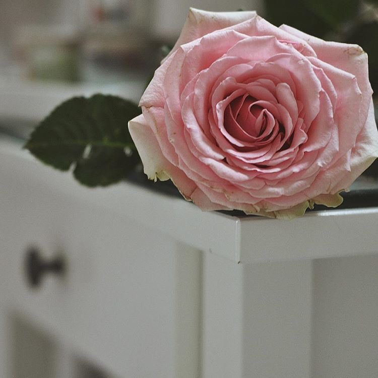 يسعد صباحات الورد
والجو رايق وفتاااان

صباح المحبه لكل من قراني
 او مر وحياني 
وجاء لي عاني 

يا مرحبا تراحيب وغلا