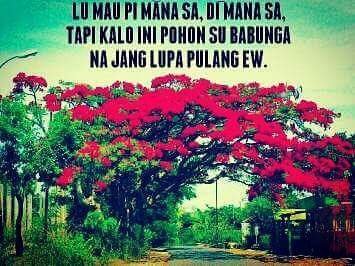 abire29's tweet photo. HARI NATAL https://t.co/1qcvgdMhJ4