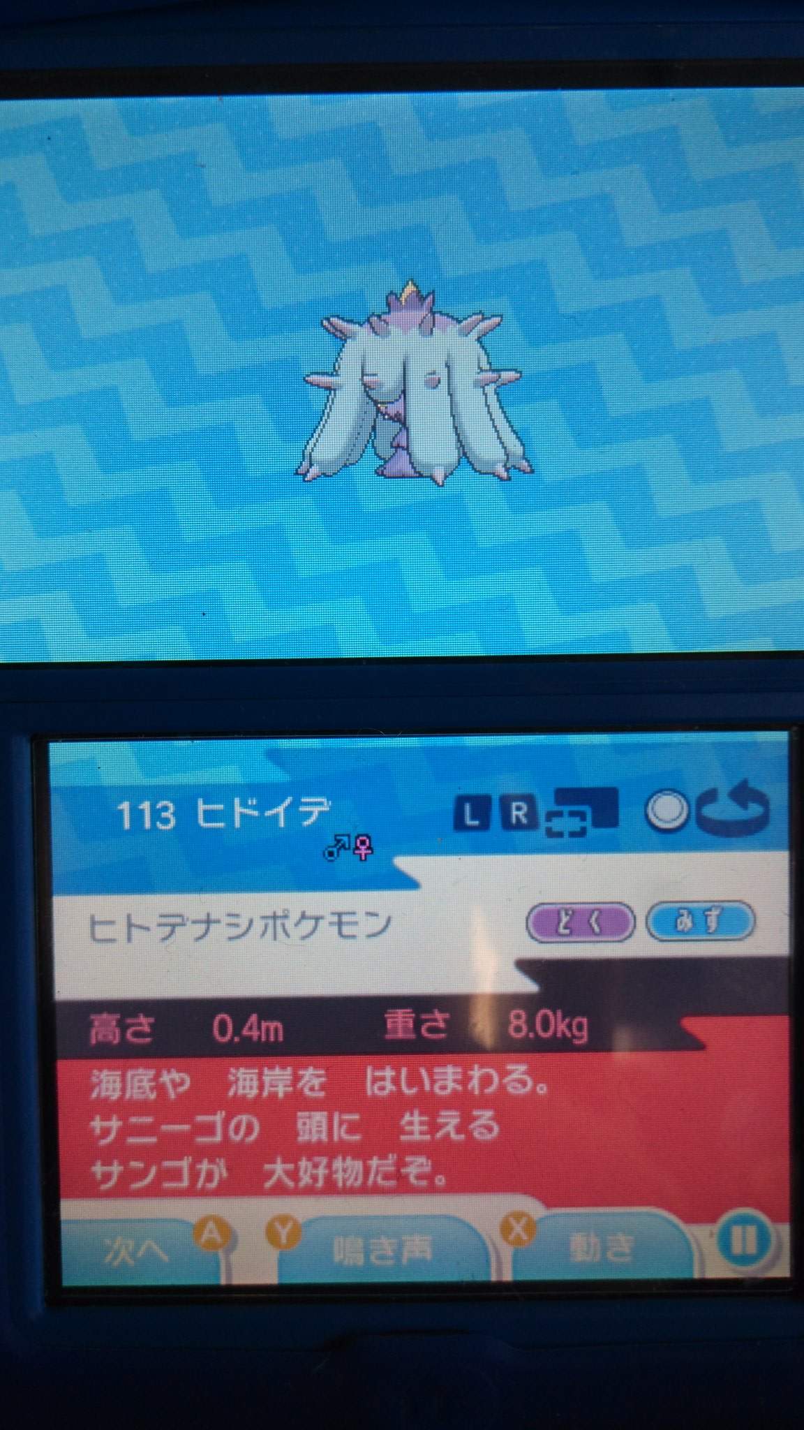 ふみふー アレエクちゃんねる 仮 ヒドイデをゲット 図鑑の説明がエグい サニーゴを食べるのかw T Co Mejgayielg Twitter