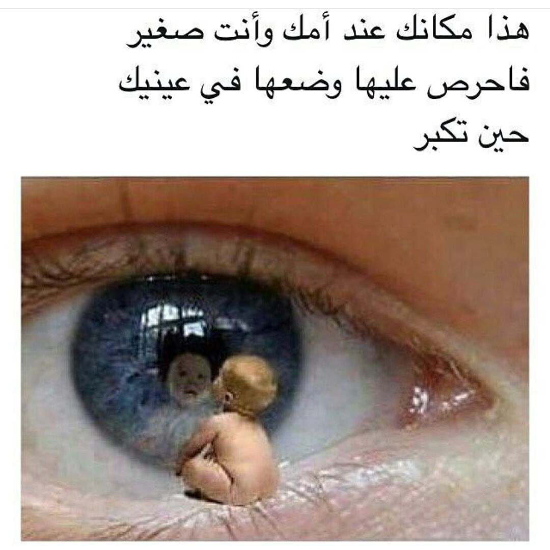 bntalgnoob12's tweet image. #قلب_واحد_للدعم
#إحسَاس_شاعِر_للدعم