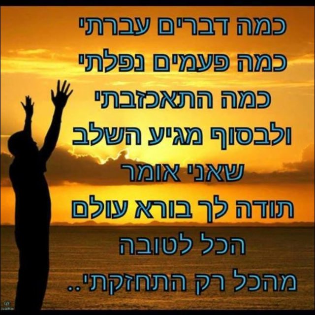 ShAvIt ♠️ tweet media