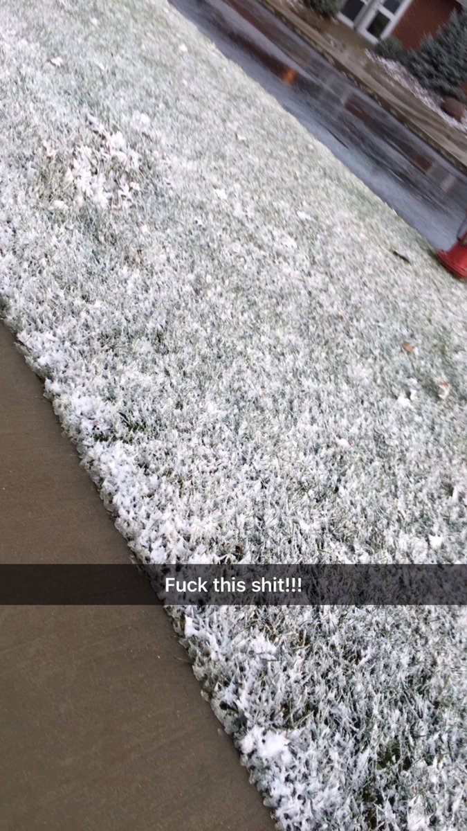 GerberGy's tweet image. I'm not ready!!!! 😅