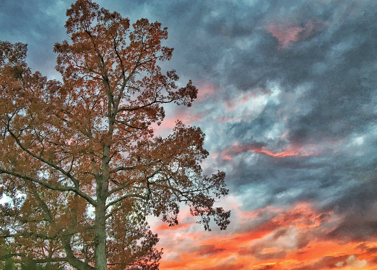 image_machine's tweet image. #sunset in #rva edited with #googlesnapseed