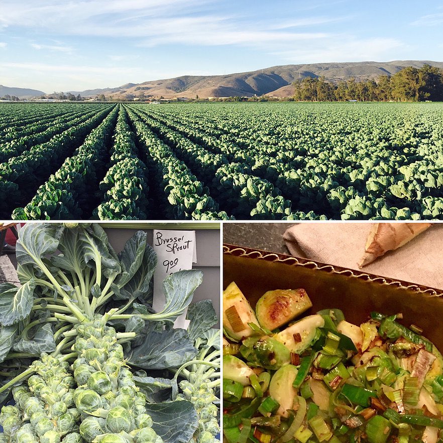 Brussels Sprouts with Bearss Lime &amp; Ginger recipe at theslolane.com #farmtotable #brusselsprouts  #localeats #shoplocal