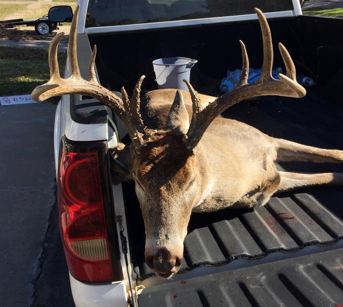 okdeerprocessor's tweet image. BIG BOY!!! Darrin Hall's buck over 200 lbs with 18 pts. facebook.com/mudcreekwildga… … #meatinthefreezer #bringusyourkills #mudcreekprocessing