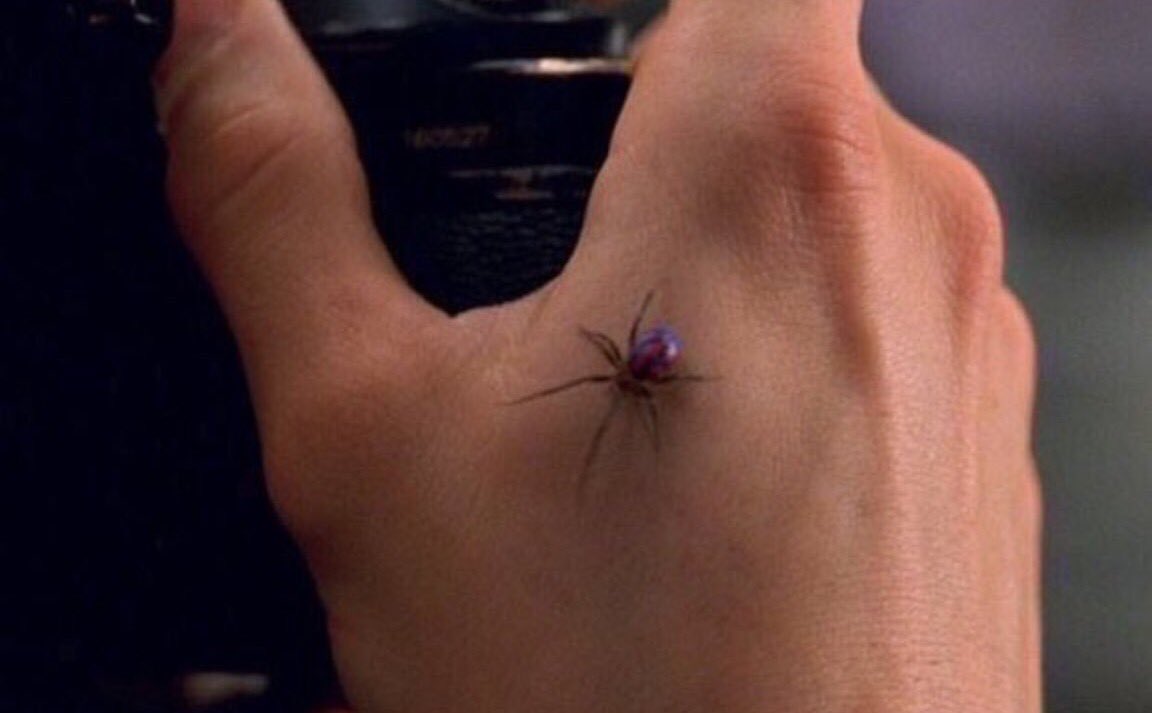Человек паук вдова. Человек паук 2002 укус паука. Питер Паркер укус паука. Паук который укусил Питера Паркера фото. Паук чёрная вдова укус.
