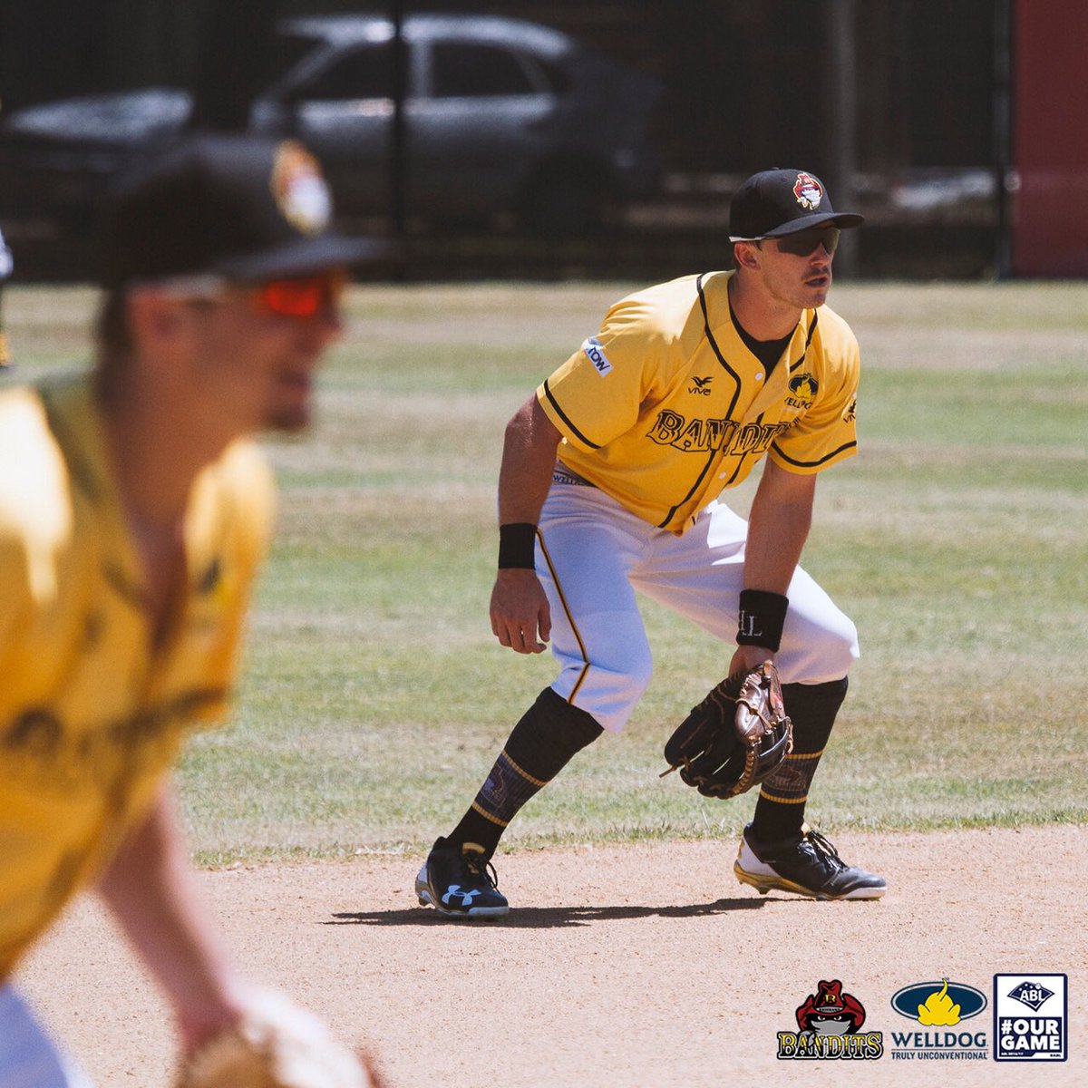 Brisbane Bandits tweet media