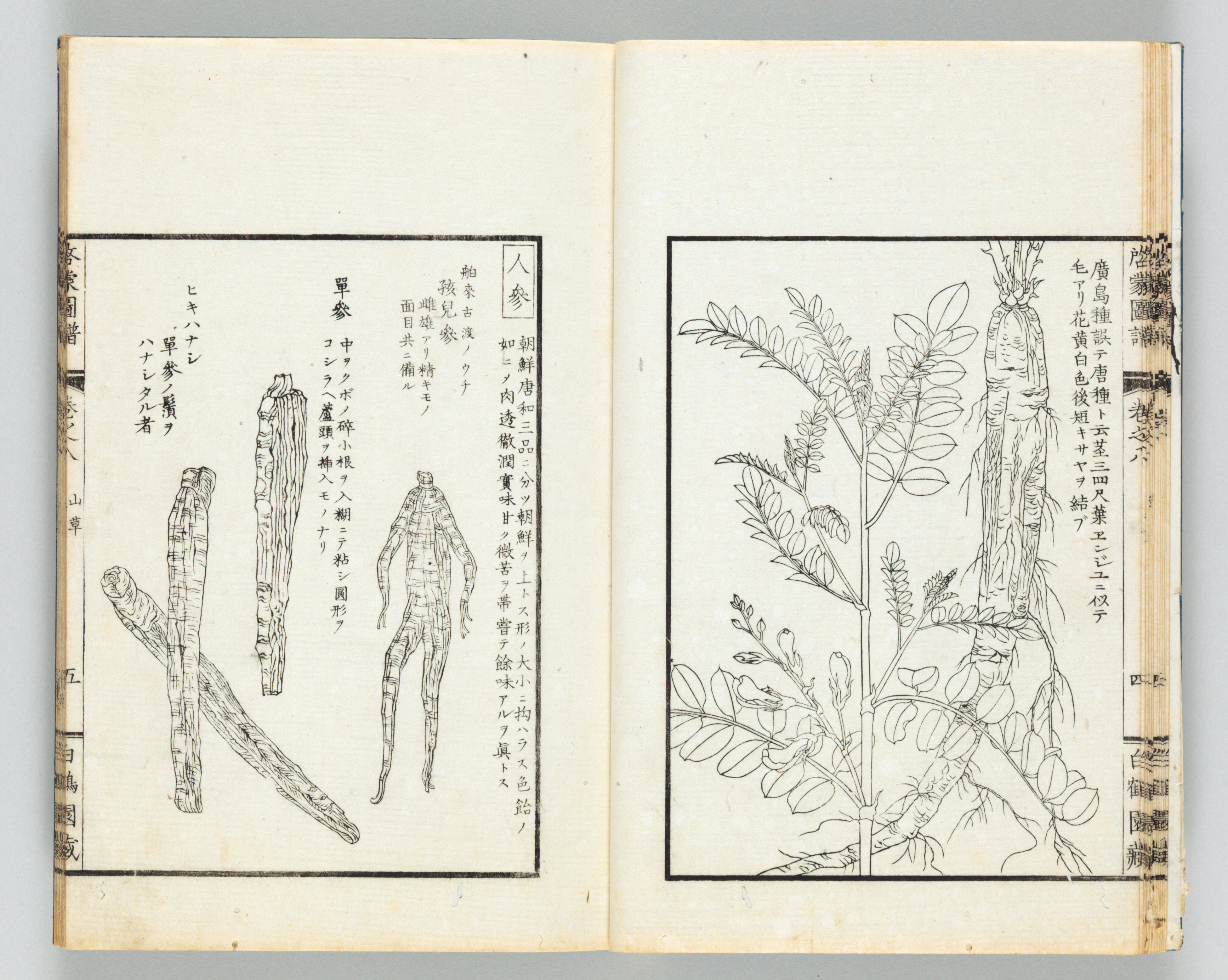 印刷博物館 PrintingMuseum on X: 印刷博物館 PrintingMuseum on X: