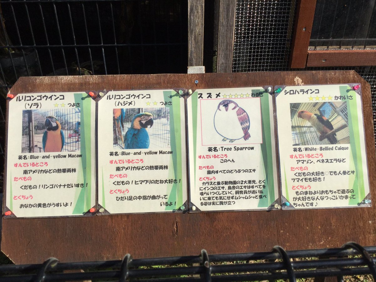 動物園の動物紹介のイラスト スズメだけなんかおかしい 話題の画像プラス 動物園の動物紹介のイラスト スズメだけなんかおかしい 話題の画像プラス