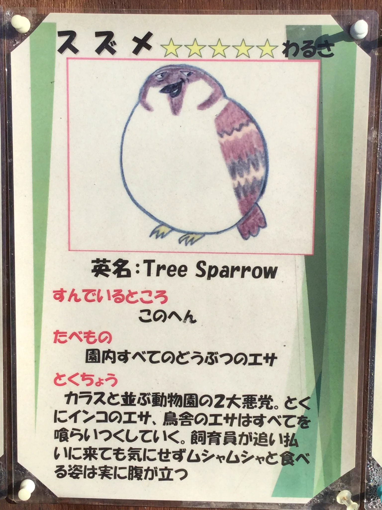動物園の動物紹介のイラスト…スズメだけなんかおかしいｗｗｗｗ