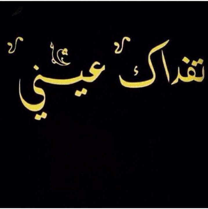 عندما تشعر الطيور بأن ظروف المكان لاتناسبها تغادر بصمت دون العبث بماحولها، وهي لاتمتلك العقل الذي يملكه البشر،،،