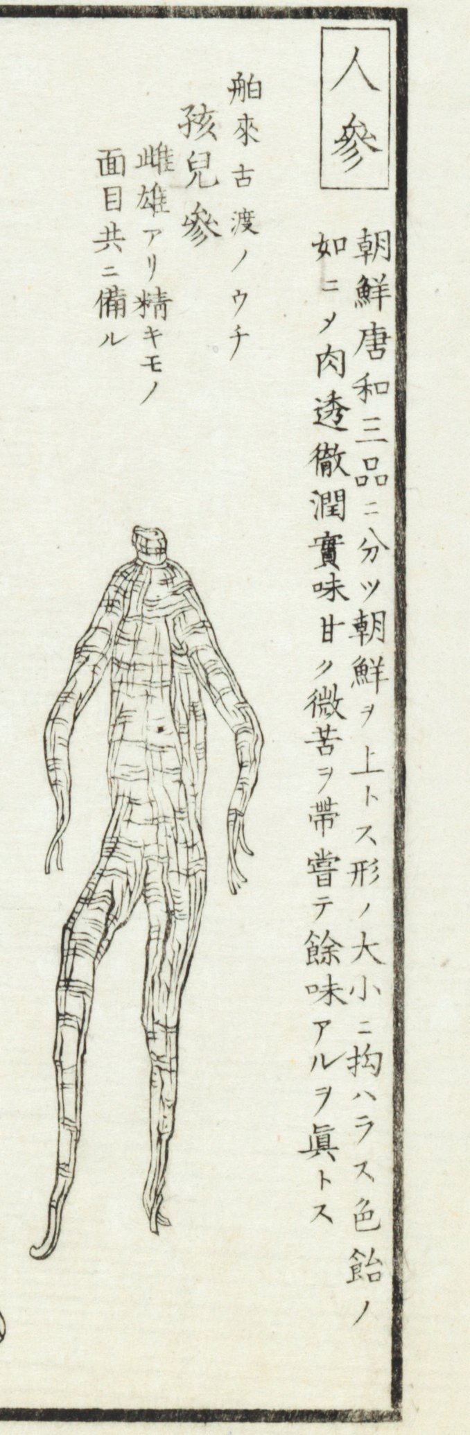 印刷博物館 PrintingMuseum on X: 