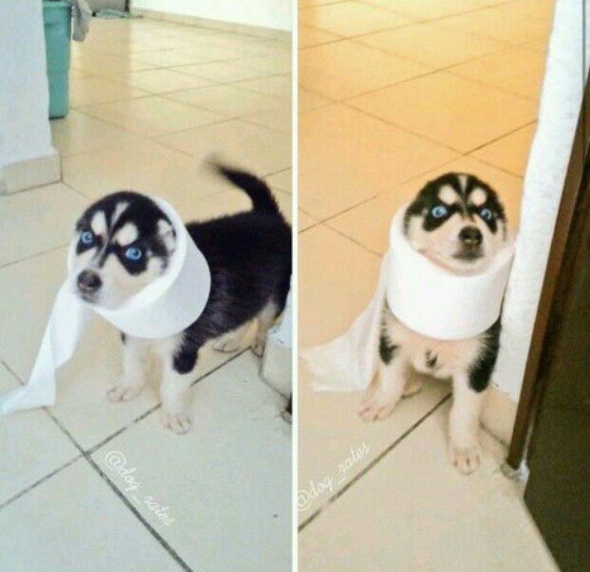 Кажется, у кого-то проблемы 😂