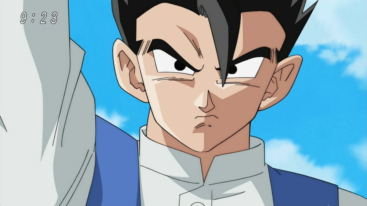 アニメ 戦闘 系 現品限り]ドラゴンボールZ 悟飯の怒り/ 出会い