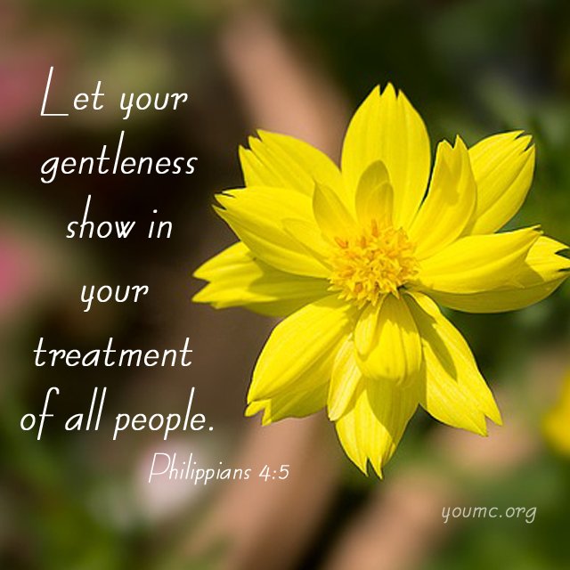 YorkOgunquit's tweet image. Let your gentleness show in your treatment of all people. Philippians 4:5 #youmc #RethinkChurch