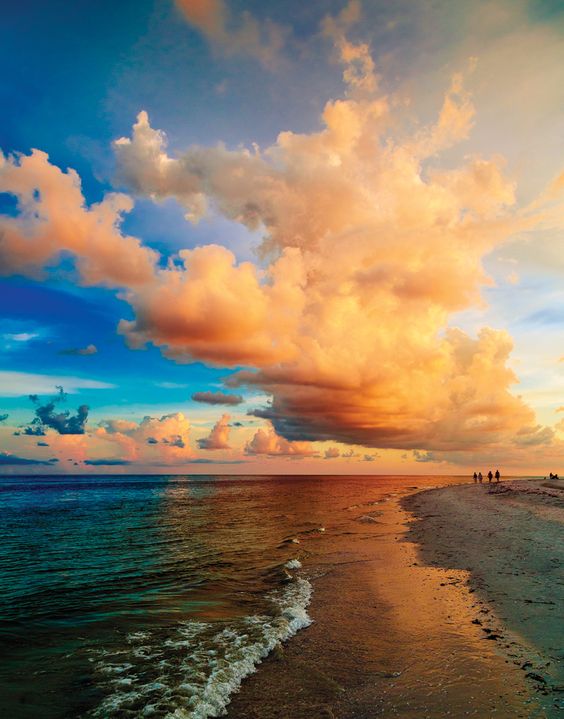 AgapeVoyage's tweet photo. Gorgeous sunsets happen only here in FL 

#sunsets #satchat https://t.co/aWGlSqeOJO