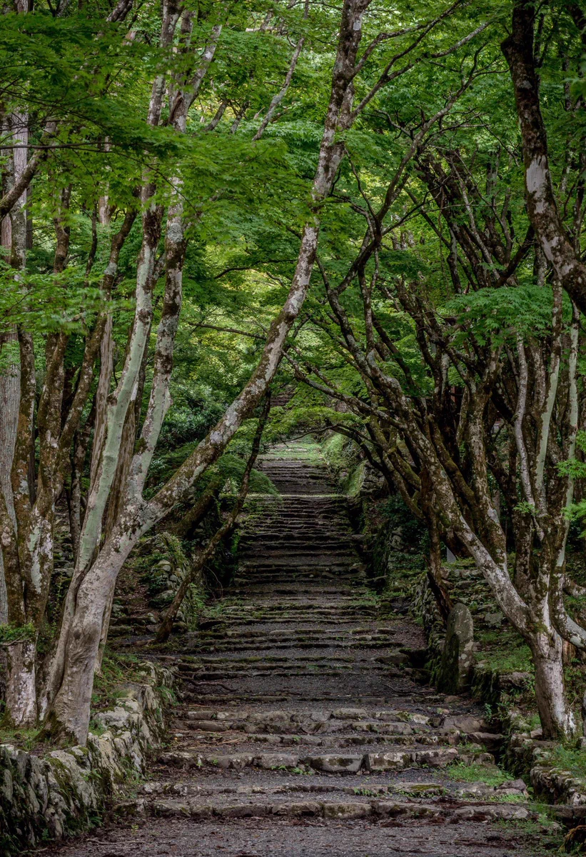 滋賀県「鶏足寺」の紅葉が美しすぎる…一度は行ってみたい！！