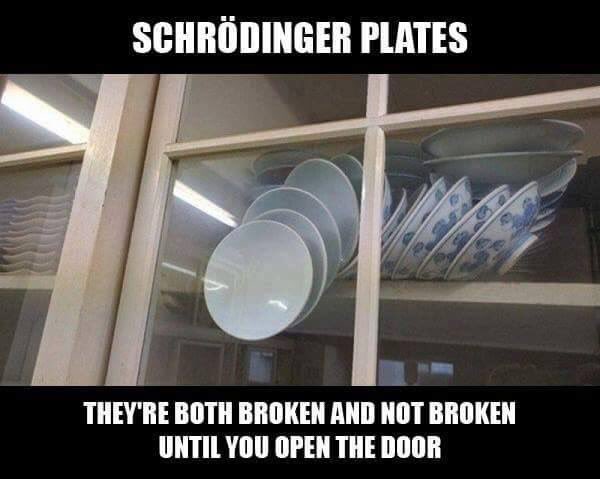 BarshaPanda's tweet photo. Everytime i find this on social media, I grin, wondering whoever thought up this 'use case'! #SchroedingerCat https://t.co/NR6X6mFL2E