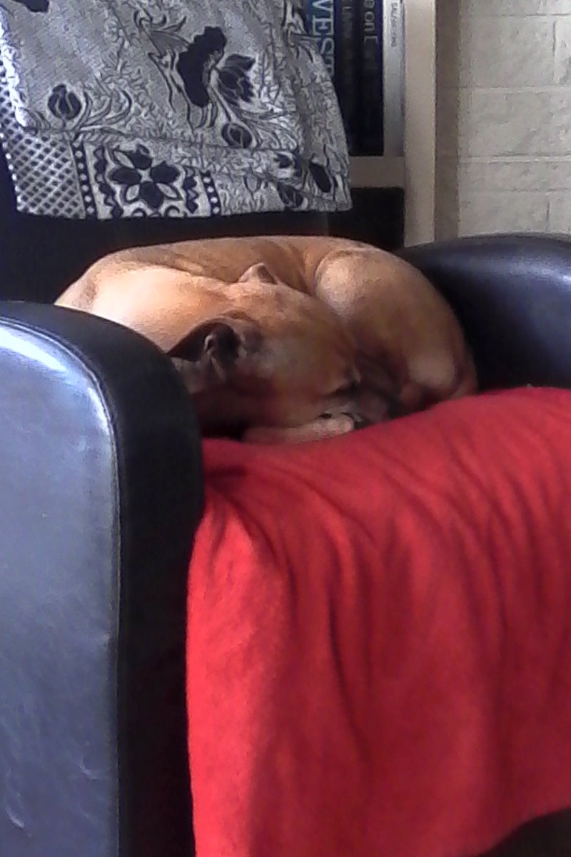 Jane Rose lynch (@kellypaeker) on Twitter photo 