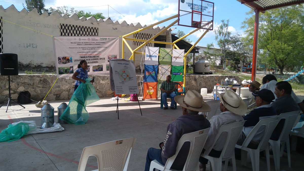 SalitoCabrera's tweet photo. @ACCIMMYT 
18/11/16. Taller a productores y extensionistas. Manejo Poscosecha. Plan de Guerrero, Mpio. de Tixtla. https://t.co/jcBGfBxbU8