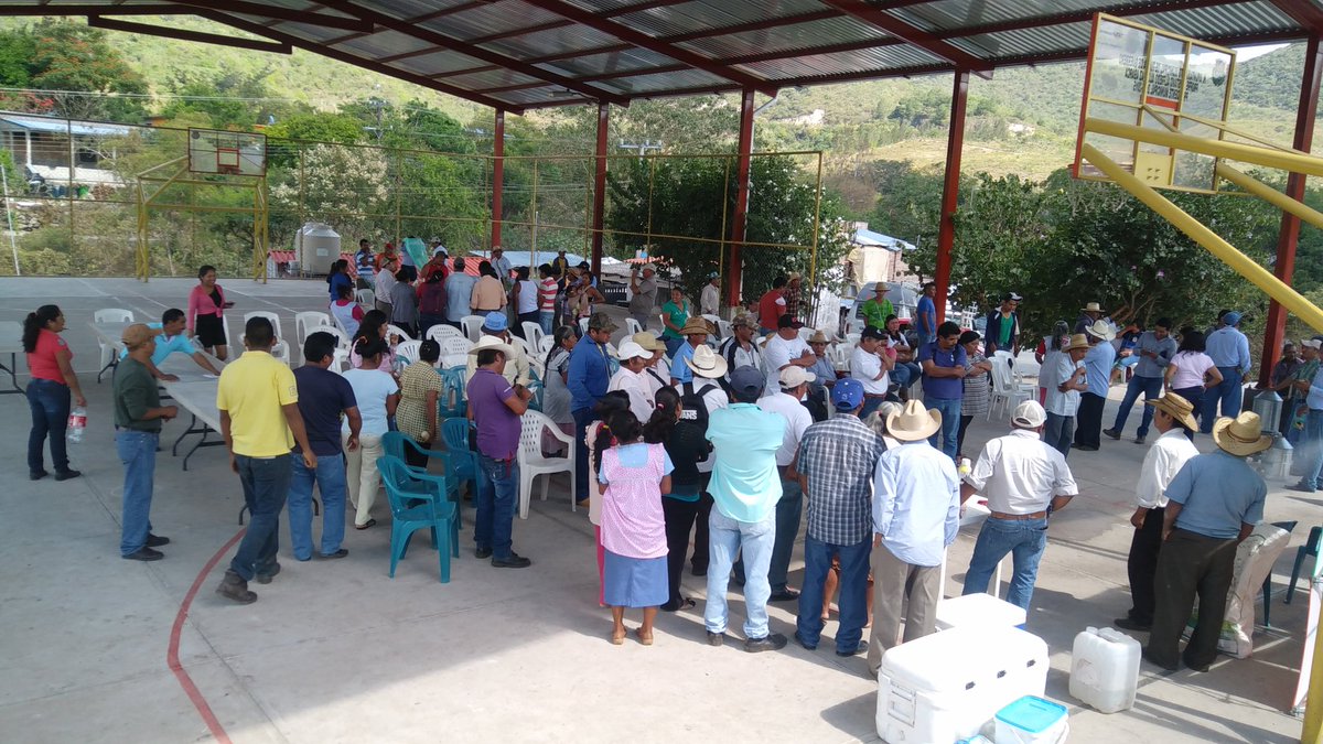 SalitoCabrera's tweet photo. @ACCIMMYT 
18/11/16. Taller a productores y extensionistas. Manejo Poscosecha. Plan de Guerrero, Mpio. de Tixtla. https://t.co/jcBGfBxbU8