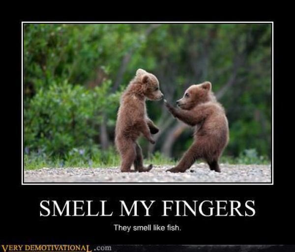 funnypet5's tweet photo. #humor #funnypics #demotivators #lol #joke #smellmyfingers #they #smelllike #fish https://t.co/fbxOKPkZPq